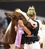 World Dairy Expo