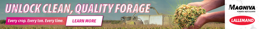 Lallemand Banner